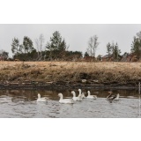 На лодке по Сатису - 5.jpg